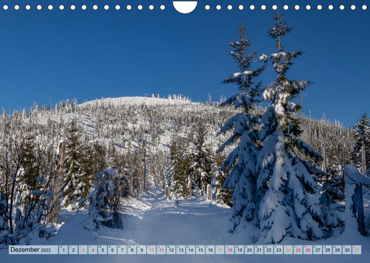 Produktbild: Bayer-Woid-Buidl (Wandkalender 2022 DIN A4 quer)