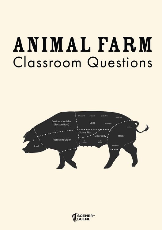 Produktbild: Animal Farm Classroom Questions