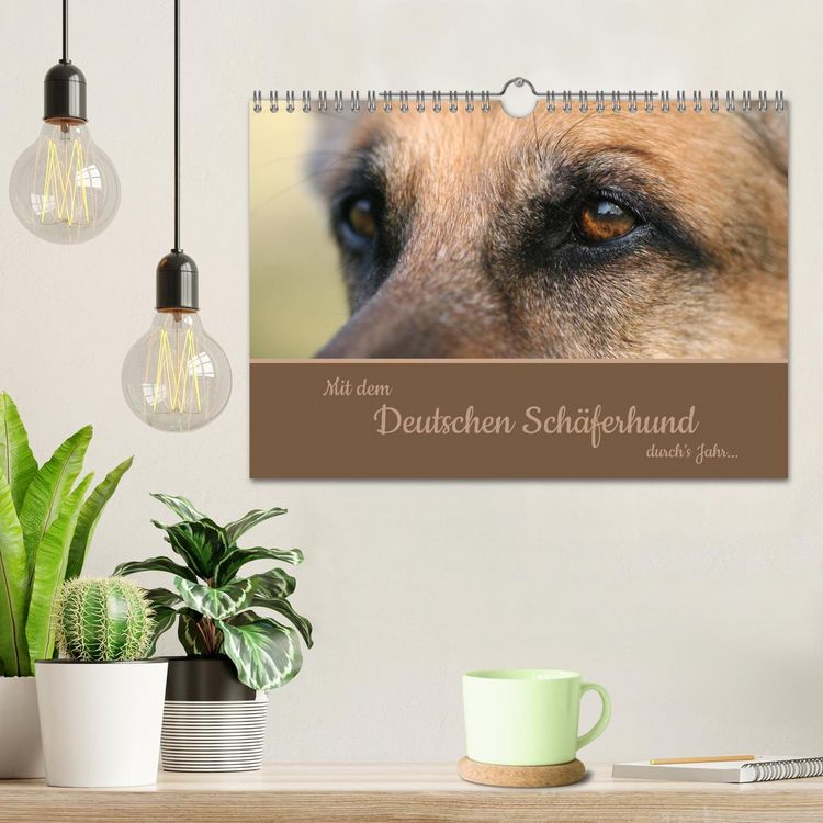 Produktbild: Mit dem Deutschen Sch&auml;ferhund durch's Jahr (Wandkalender 2026 DIN A4 quer), CALVENDO Monatskalender