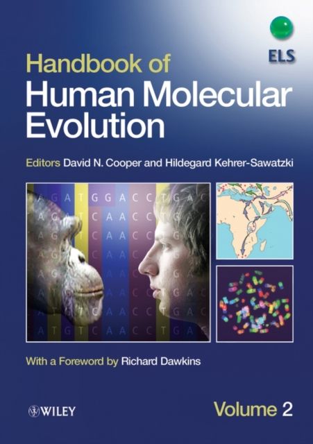 Produktbild: Handbook of Human Molecular Evolution