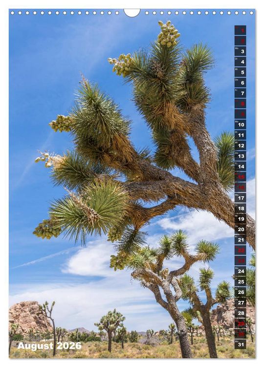 Produktbild: Impressionen aus dem JOSHUA TREE NATIONAL PARK (Wandkalender 2026 DIN A3 hoch), CALVENDO Monatskalender