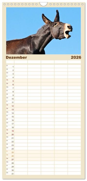 Produktbild: Familienplaner 2026 - Esel - Sixtus Loreley mit 5 Spalten (Wandkalender, 21 x 45 cm) CALVENDO