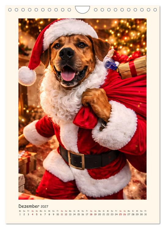 Produktbild: Rhodesian Ridgeback - Ein Hund mit vielen Talenten (Wandkalender 2027 DIN A4 hoch), CALVENDO Monatskalender