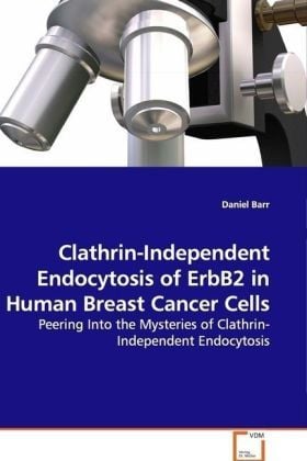 Produktbild: Clathrin-Independent Endocytosis of ErbB2 in Human Breast Cancer Cells