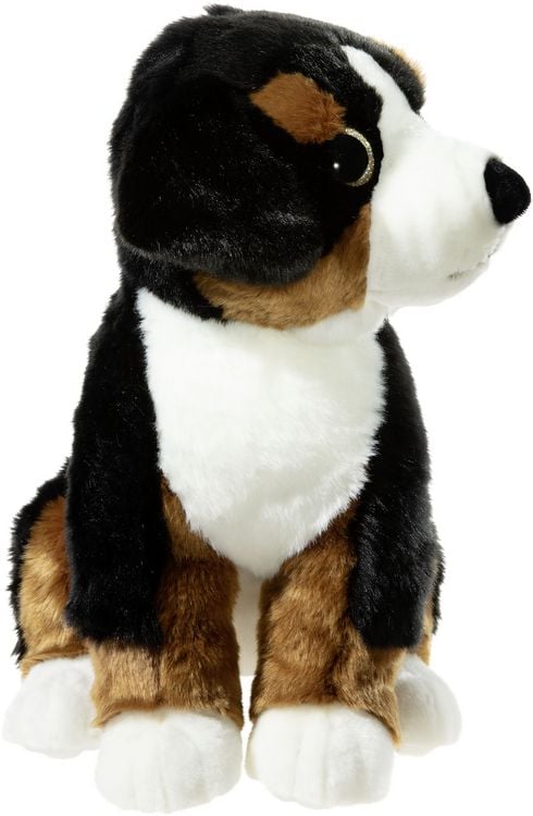 Produktbild: ALPENWELT Sennehund