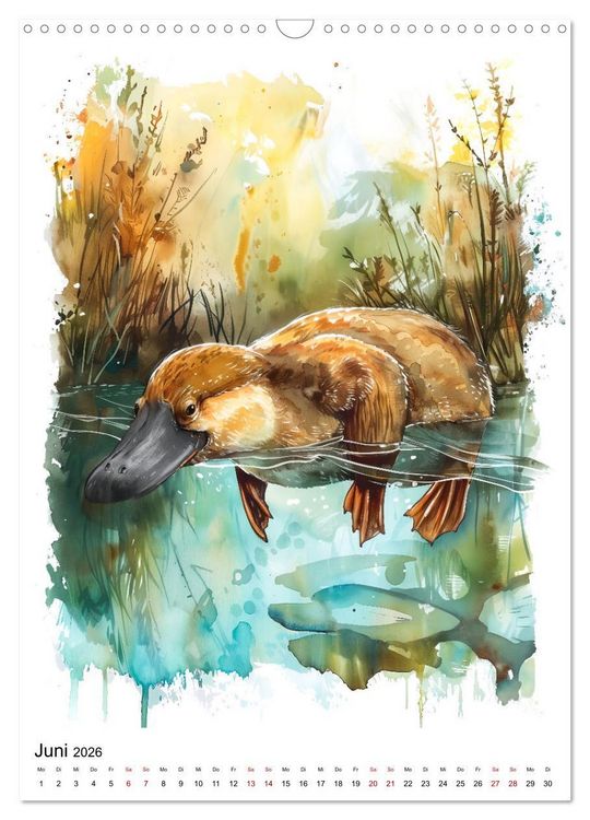 Produktbild: Australiens Tiere - Illustriert in Wasserfarben (Wandkalender 2026 DIN A3 hoch), CALVENDO Monatskalender