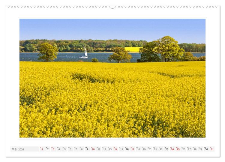 Produktbild: Rund um die Schlei (Wandkalender 2026 DIN A2 quer), CALVENDO Monatskalender