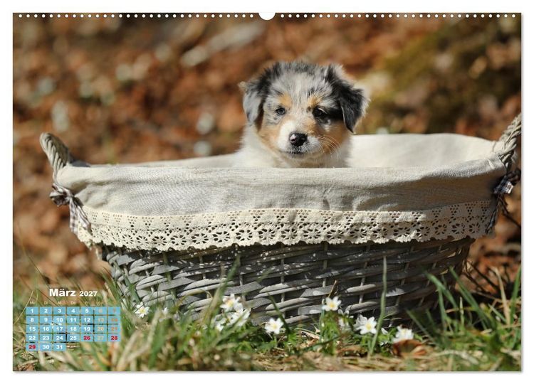 Produktbild: Lillyfee und ein K&ouml;rbchen voller Gl&uuml;ck (Wandkalender 2027 DIN A2 quer), CALVENDO Monatskalender