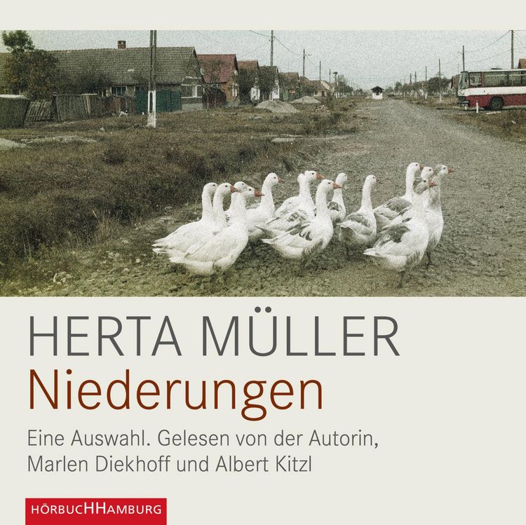 Produktbild: Niederungen
