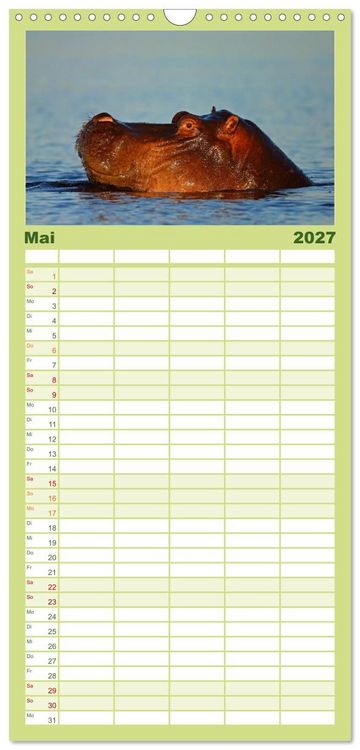 Produktbild: Familienplaner 2027 - Flusspferde Magie des Augenblicks - Hippos in Afrika mit 5 Spalten (Wandkalender, 21 x 45 cm) CALVENDO