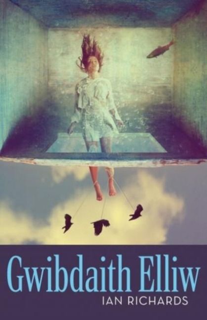 Produktbild: Gwibdaith Elliw