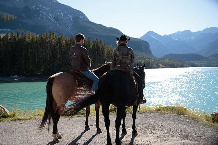 Produktbild: Heartland - Paradies f&uuml;r Pferde - Staffel 8.2: Episode 10-18 [3 DVDs]