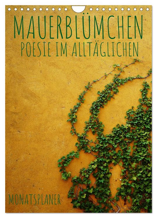 Produktbild: Mauerbl&uuml;mchen - Poesie im Allt&auml;glichen als Monatsplaner (Wandkalender 2026 DIN A4 hoch), CALVENDO Monatskalender