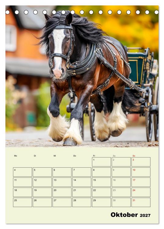 Produktbild: Shire Horse Magie. Englands sanfte Giganten (Tischkalender 2027 DIN A5 hoch), CALVENDO Monatskalender