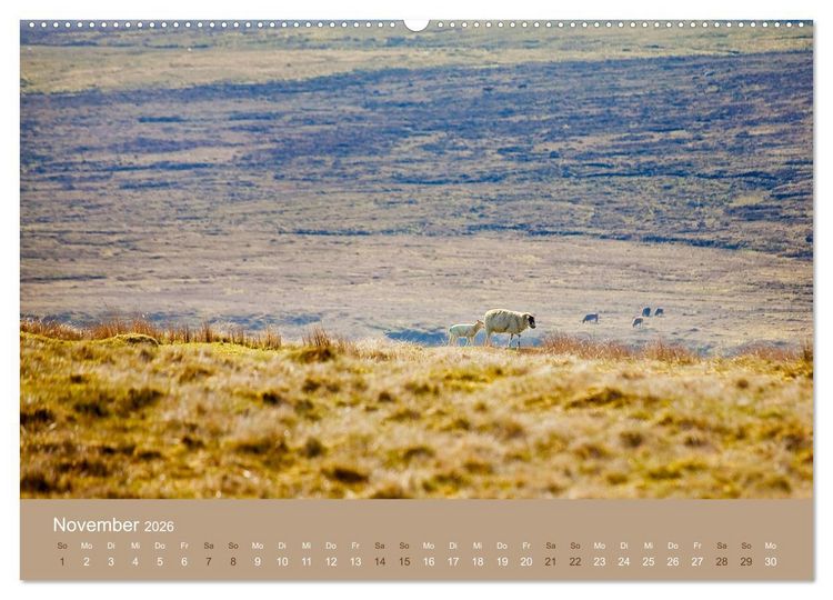 Produktbild: Unter Schafen - Wegbegleiter auf Reisen (hochwertiger Premium Wandkalender 2026 DIN A2 quer), Kunstdruck in Hochglanz