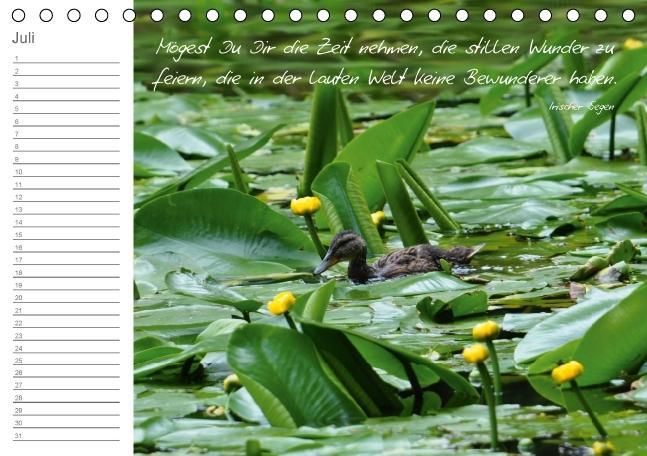 Produktbild: LEBENSGL&Uuml;CK (Tischkalender immerw&auml;hrend DIN A5 quer)