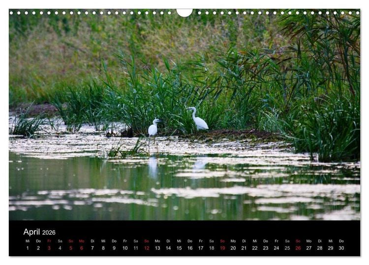 Produktbild: Donaudelta (Wandkalender 2026 DIN A3 quer), CALVENDO Monatskalender