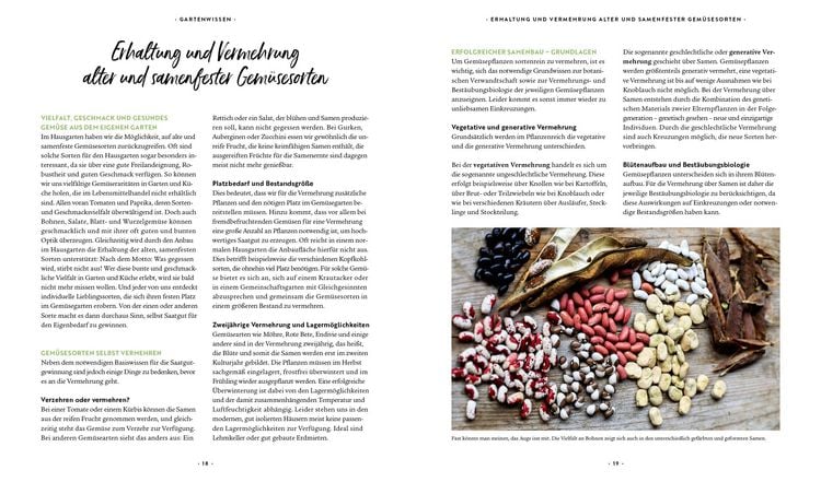 Produktbild: Mein Biogem&uuml;se-Garten
