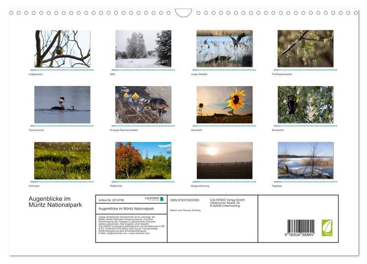 Produktbild: Augenblicke im M&uuml;ritz Nationalpark (Wandkalender 2026 DIN A3 quer), CALVENDO Monatskalender
