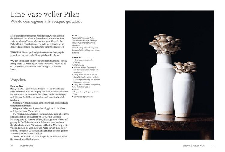 Produktbild: Pilzverr&uuml;ckt