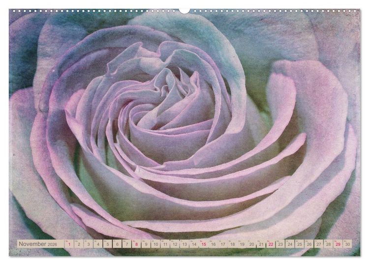 Produktbild: Rosenduft Shabby Chic Style (Wandkalender 2026 DIN A2 quer), CALVENDO Monatskalender