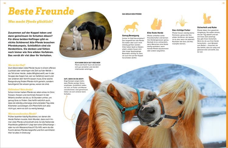 Produktbild: WAS IST WAS Pferde. Freunde, Freiheit, Abenteuer