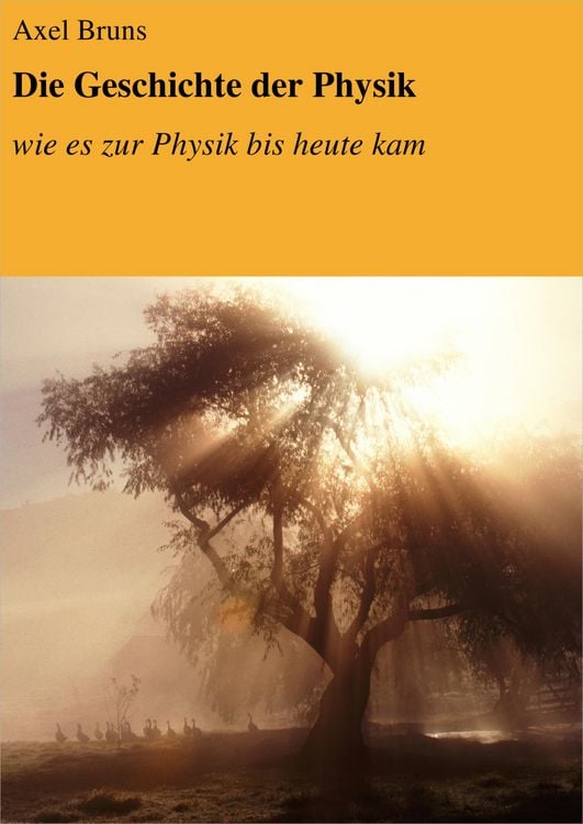 Produktbild: Die Geschichte der Physik