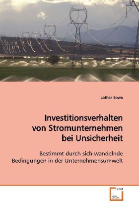 Produktbild: Sowa, L: Investitionsverhalten von Stromunternehmen beiUnsic