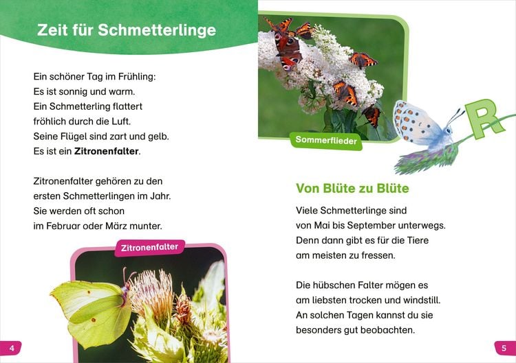 Produktbild: WAS IST WAS Erstes Lesen easy! Unsere Schmetterlinge