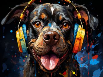 Produktbild: CALVENDO Puzzle Ein Motiv aus dem Kalender Musik Safari | 1000 Teile Lege-Gr&ouml;&szlig;e 64x48cm Foto-Puzzle f&uuml;r gl&uuml;ckliche Stunden