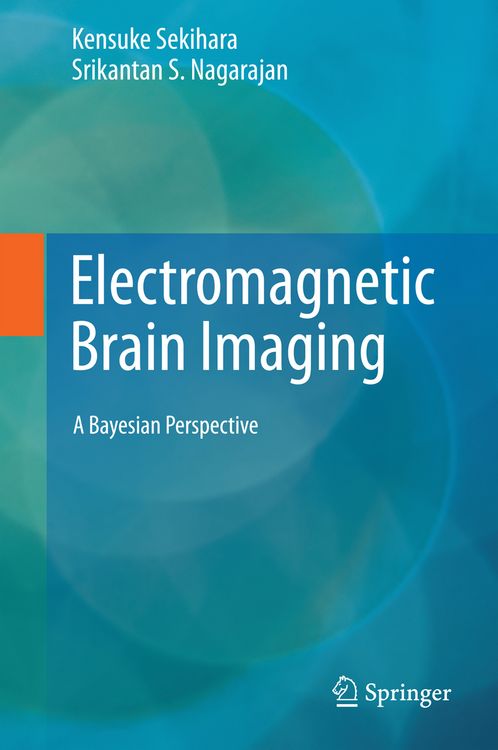 Produktbild: Electromagnetic Brain Imaging