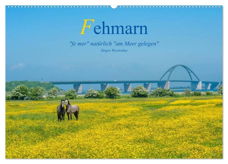 Produktbild: Fehmarn - "fe mer" nat&uuml;rlich "am Meer gelegen" (Wandkalender 2026 DIN A2 quer), CALVENDO Monatskalender