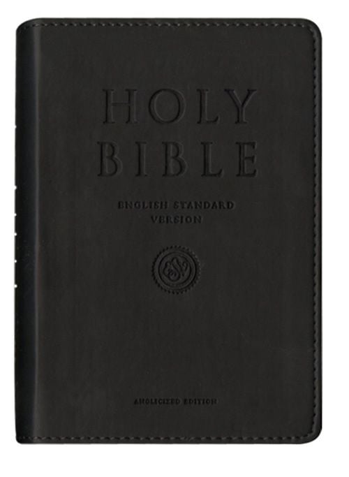 Produktbild: Holy Bible
