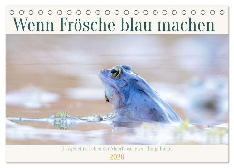 Produktbild: Wenn Fr&ouml;sche blau machen - das geheime Leben der Moorfr&ouml;sche von Tanja Riedel (Tischkalender 2026 DIN A5 quer), CALVENDO Monatskalender
