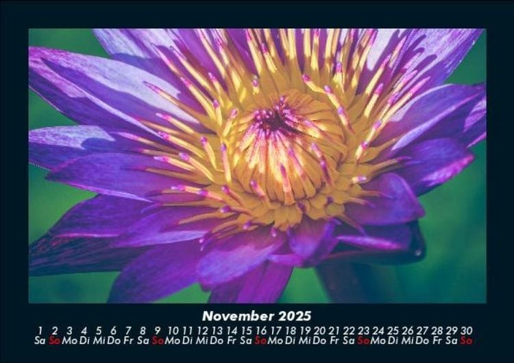 Produktbild: Blumentr&auml;ume 2025 Fotokalender DIN A5