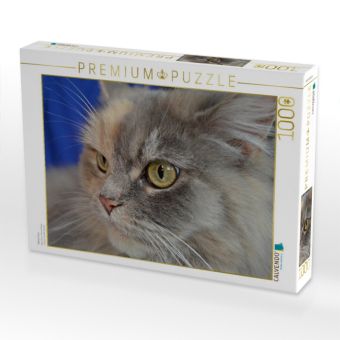 Produktbild: CALVENDO Puzzle Maine Coon | 1000 Teile Lege-Gr&ouml;&szlig;e 64x48cm Foto-Puzzle f&uuml;r gl&uuml;ckliche Stunden