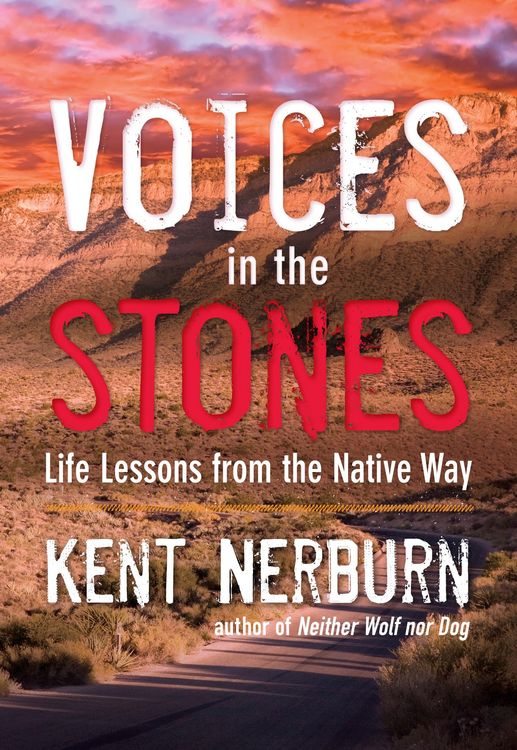 Produktbild: Voices in the Stones