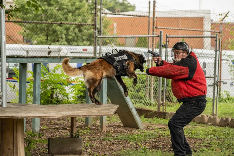 Produktbild: Muzzle - K-9 Narcotics Unit