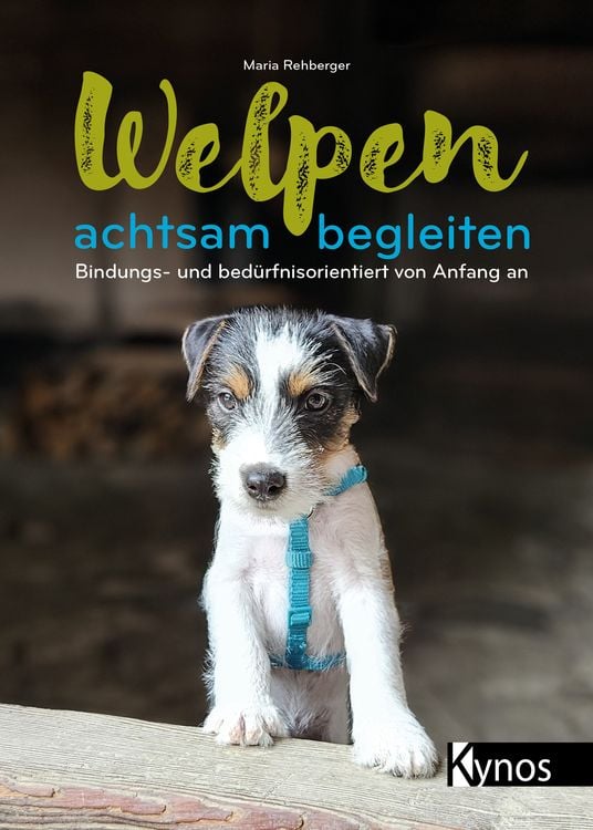 Produktbild: Welpen achtsam begleiten