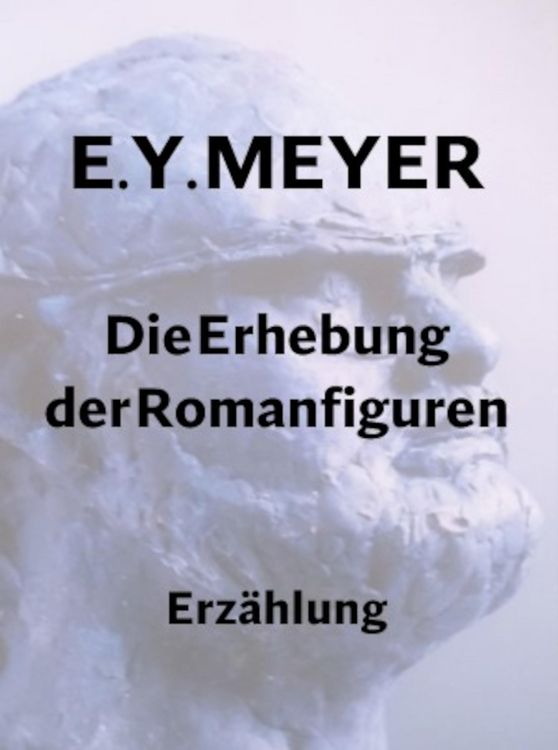Produktbild: Die Erhebung der Romanfiguren