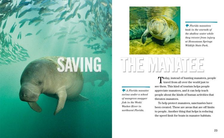Produktbild: Nat Geo Reader Manatees