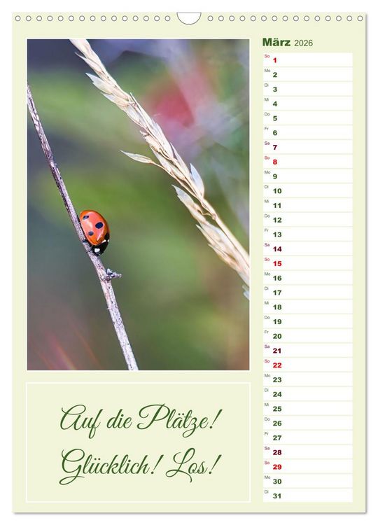 Produktbild: Marienk&auml;fer, Gl&uuml;cksbringer mit sieben Punkten (Wandkalender 2026 DIN A3 hoch), CALVENDO Monatskalender