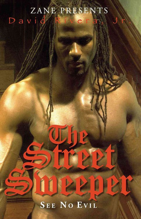 Produktbild: The Street Sweeper