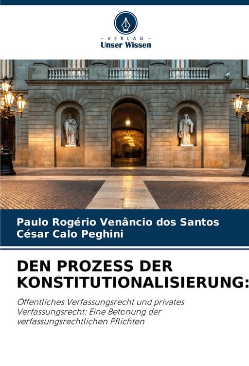 Produktbild: Den Prozess der Konstitutionalisierung: