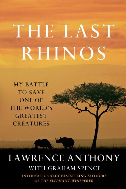 Produktbild: The Last Rhinos