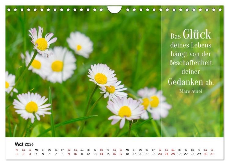 Produktbild: Lebensweisheiten, motivierende Spr&uuml;che und kluge Zitate mit Bildern der Natur (Wandkalender 2026 DIN A4 quer), CALVENDO Monatskalender