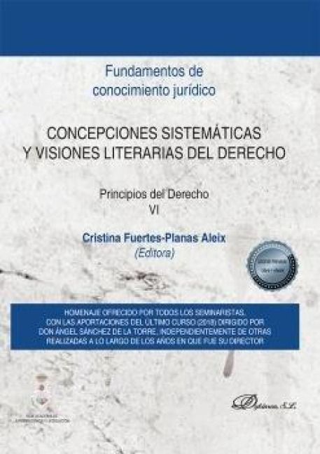 Produktbild: Concepciones sistem&aacute;ticas y visiones literarias del derecho : principios del derecho VI