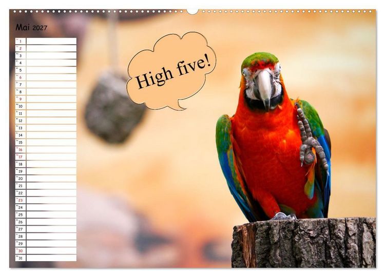 Produktbild: Wenn Tiere Sprechen k&ouml;nnten! Der lustige Spr&uuml;che Geburtstagskalender (Wandkalender 2027 DIN A2 quer), CALVENDO Monatskalender