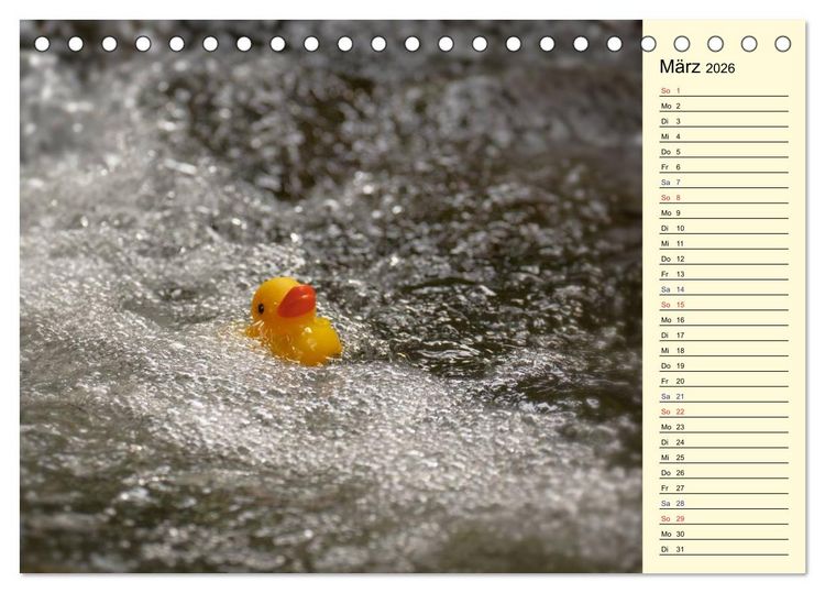 Produktbild: Enten-Rennen (Tischkalender 2026 DIN A5 quer), CALVENDO Monatskalender