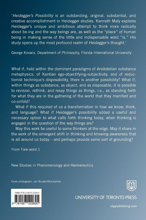 Produktbild: Heidegger's Possibility